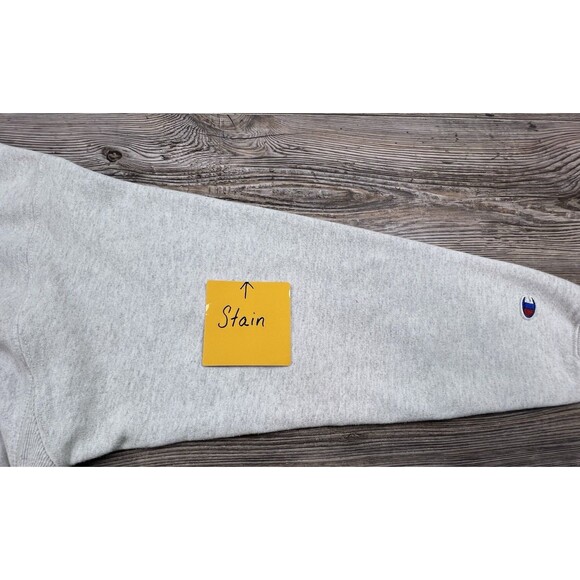 VTG Hope College Gray CHAMPION Reverse Weave SPELL OUT w SEAL Sweatshirt Men's L - Picture 11 of 12